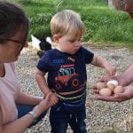 Family Holidays collecting eggs